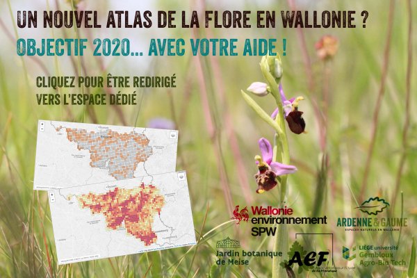 PAGE FLORE Atlas-flore_espace_dedie_web
