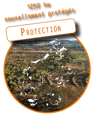 1250_protection