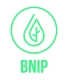 20160511-BNIP-logo_productie-CMYK-outline-01