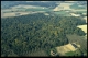 Vue aérienne Bois d'Arpes en 1999 [copyright Duchesne Jacques]