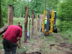 Pose de clôture pour un ilot de régénération au Plateau des Tailles
