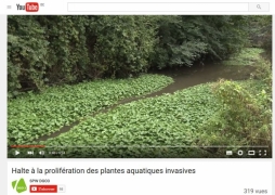 Capsule vidéo "Halte à la prolifération des plantes aquatiques invasives"