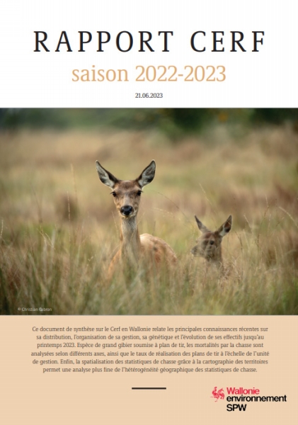 rapport cerf 2022-2023