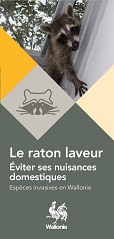 depliant_raton_laveur