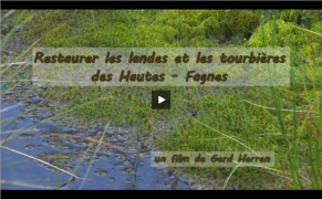 Vidéo du projet LIFE Hautes-Fagnes