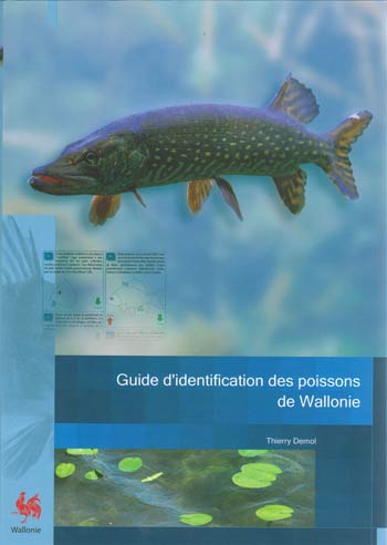 Guide d'identification des poissons de Wallonie