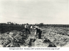Hertogenwald 1913 - Rondeux 1997 La forêt et les hommes page 25