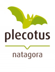Logo-plecotus