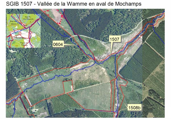 sgib 1507 - vallée de la wamme en aval de mochamps .jpg