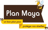 accueil_plan_maya