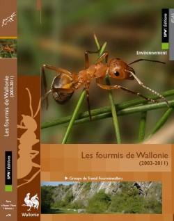 atlas des fourmis de Wallonie