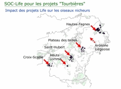 Programme de points d'écoute dans les projets LIFE Tourbières