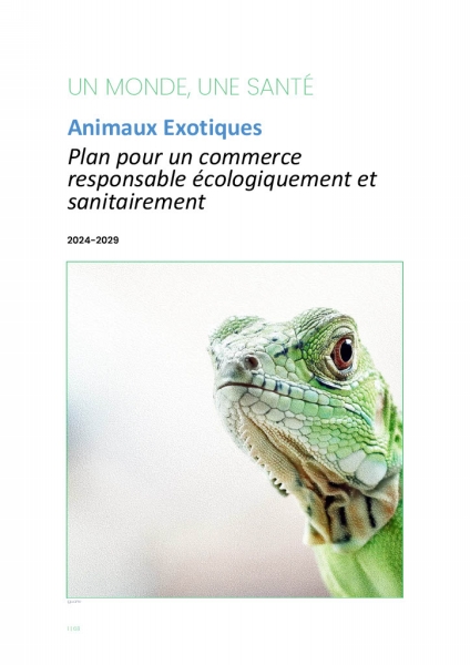 Plan Animaux exotiques image