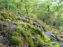 Source calcaire incrustante ou tuf dans la vallée de l'Hermeton