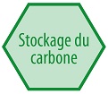 stockage_carbon