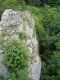 végétation des rochers calcaires ensoleillés [copyright Wibail Lionel]