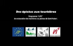 Video LIFE Tourbières