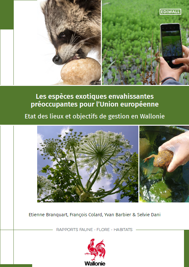 identification-de-priorites-pour-la-lutte-contre-les-eee-en-wallonie