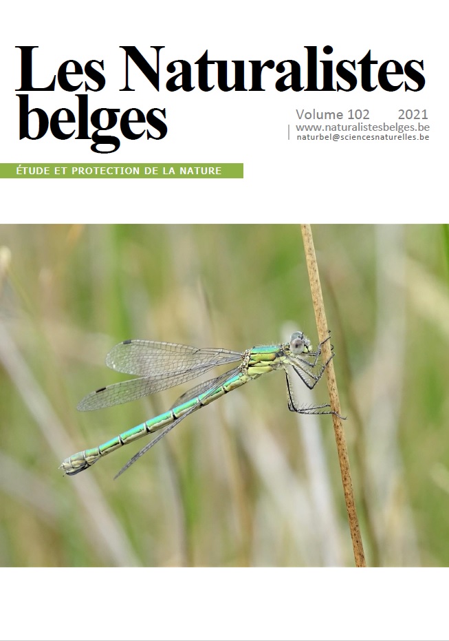 liste-rouge-2021-des-libellules-de-wallonie