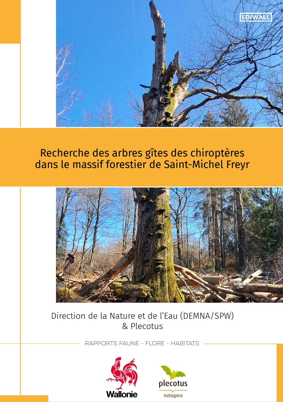 recherche-des-arbres-gites-des-chiropteres-dans-le-massif-forestier-de-saint-michel-freyr