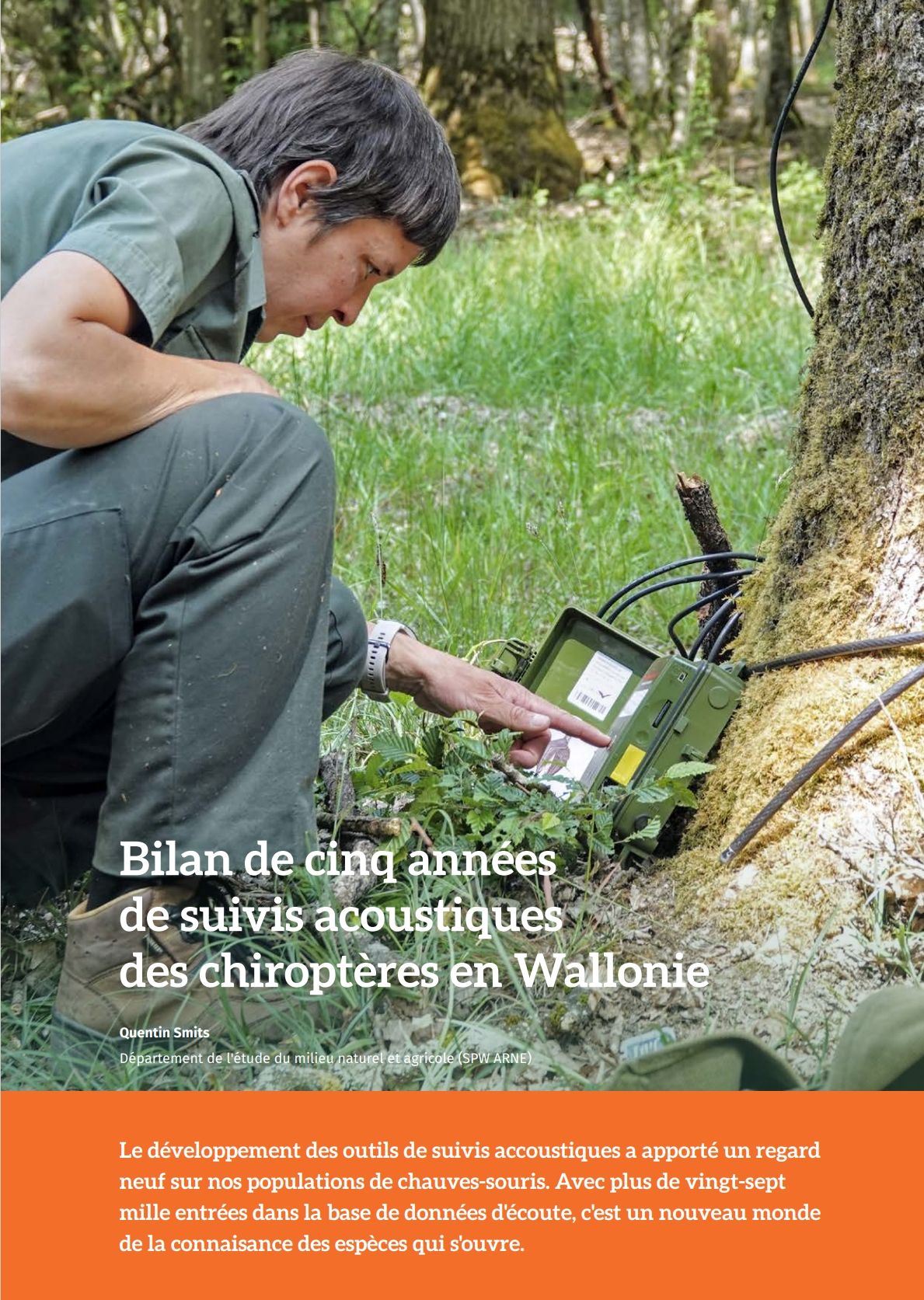 bilan-de-cinq-annees-de-suivis-acoustiques-des-chiropteres-en-wallonie