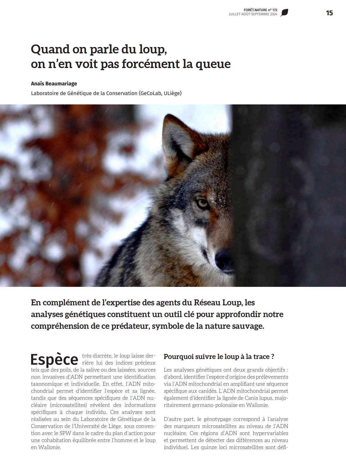 quand-on-parle-du-loup-on-n-en-voit-pas-forcement-la-queue