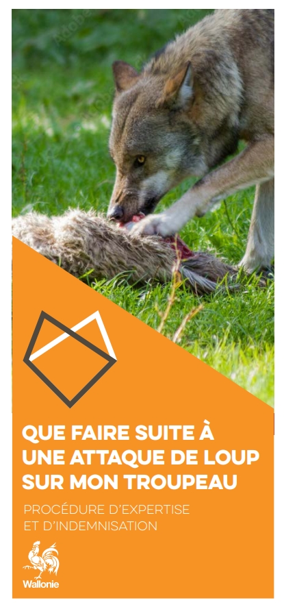 attaque-sur-troupeau-procedure-d-expertise-et-d-indemnisation