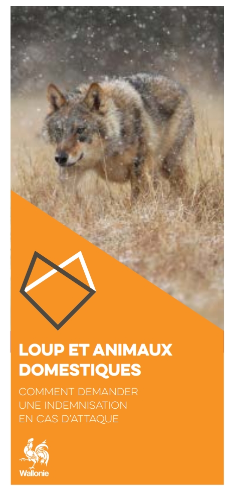 comment-demander-une-indemnisation-en-cas-d-attaque