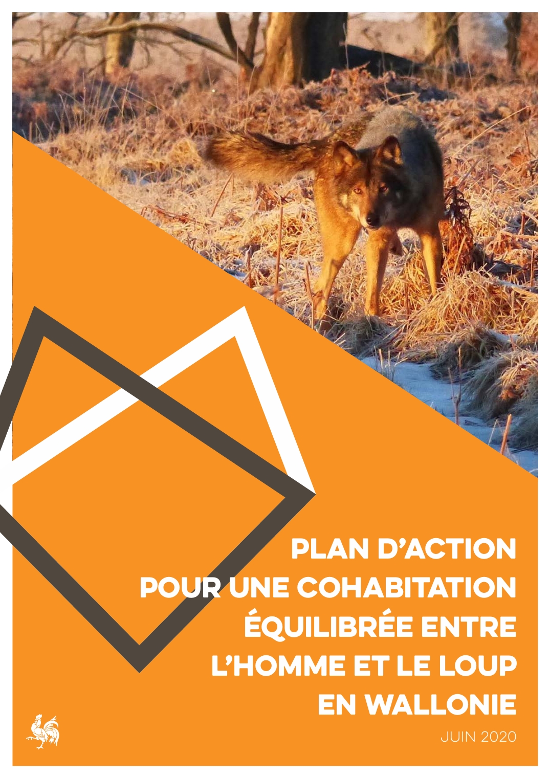 planloup_2020_2025_cover.jpeg