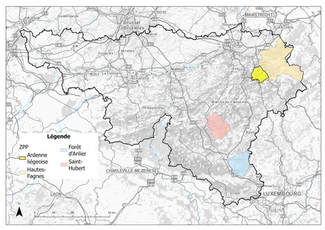 Actualité: Loup : une nouvelle ZPP « Ardenne liégeoise »