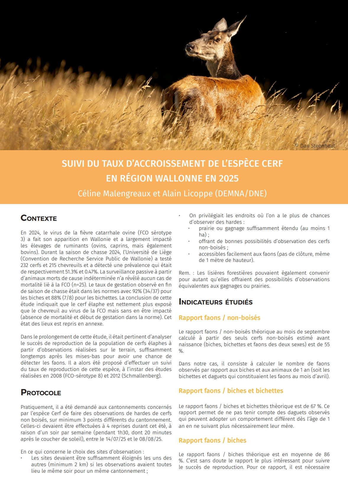 suivi-du-taux-d-accroissement-de-l-espece-cerf-en-region-wallonne-en-2025