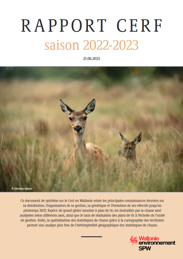 12-des-cerfs-analyses-entre-2013-et-2019-etaient-consideres-comme-non-wallons-non-sauvages