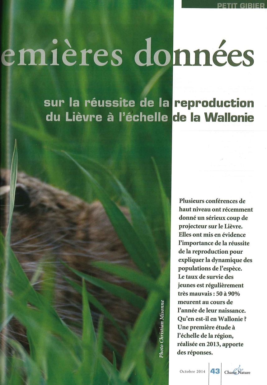 premieres-donnees-sur-la-reussite-de-reproduction-du-lievre-a-l-echelle-de-la-wallonie
