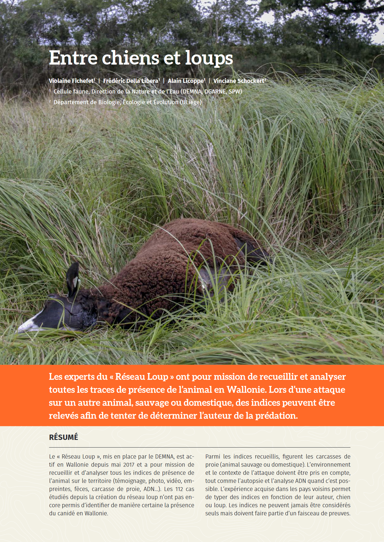 entre-chiens-et-loups