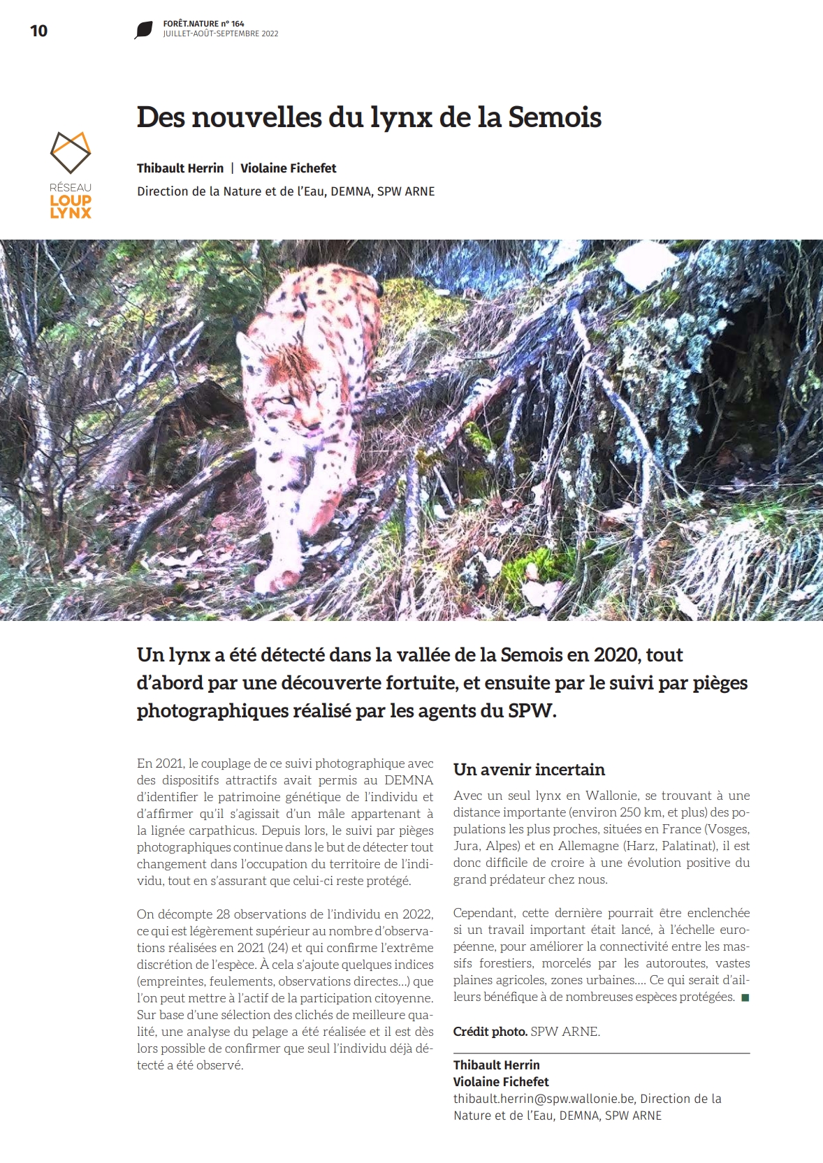 des-nouvelles-du-lynx-de-la-semois
