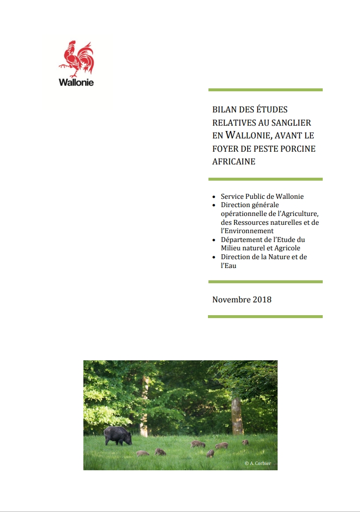 bilan-des-etudes-relatives-au-sanglier-en-wallonie-avant-le-foyer-de-peste-porcine-africaine