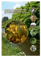 Programme Life-Nature 2002-2007 : Protection des habitats de la moule perlière en Belgique. Bilan final du projet 