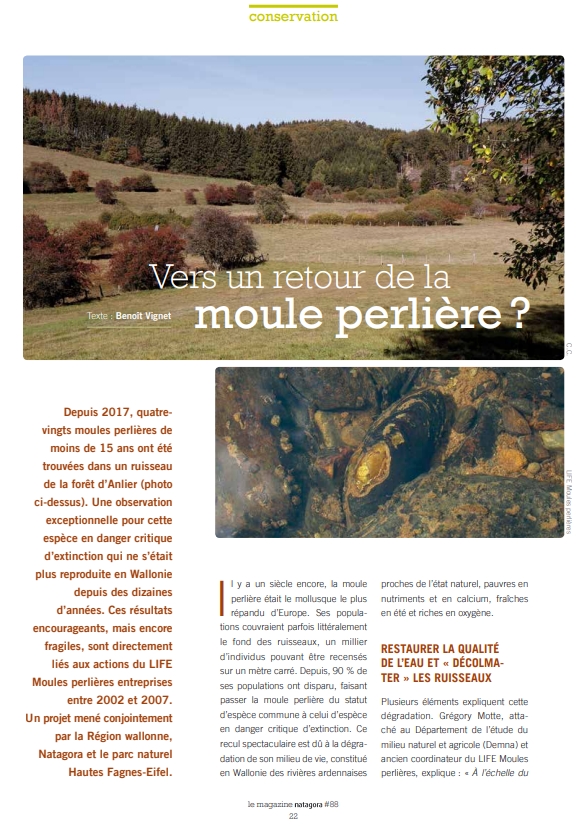 vers-un-retour-de-la-moule-perliere-1