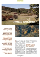 Vers un retour de la moule perlière ? 