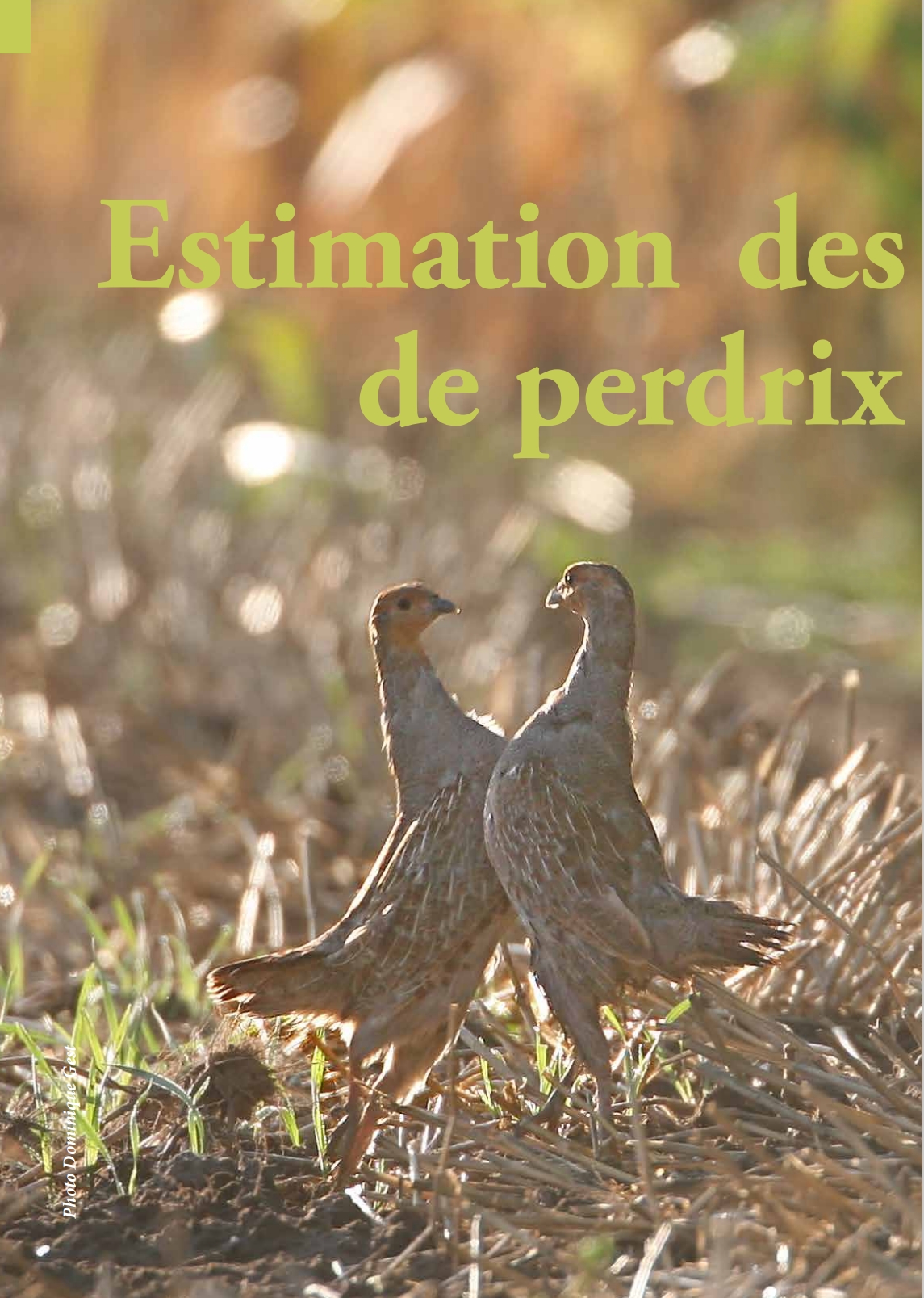 estimation-des-populations-de-perdrix-en-wallonie