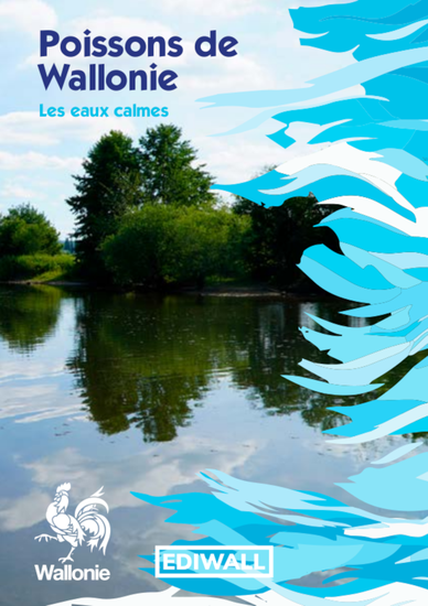 cg-publication-2