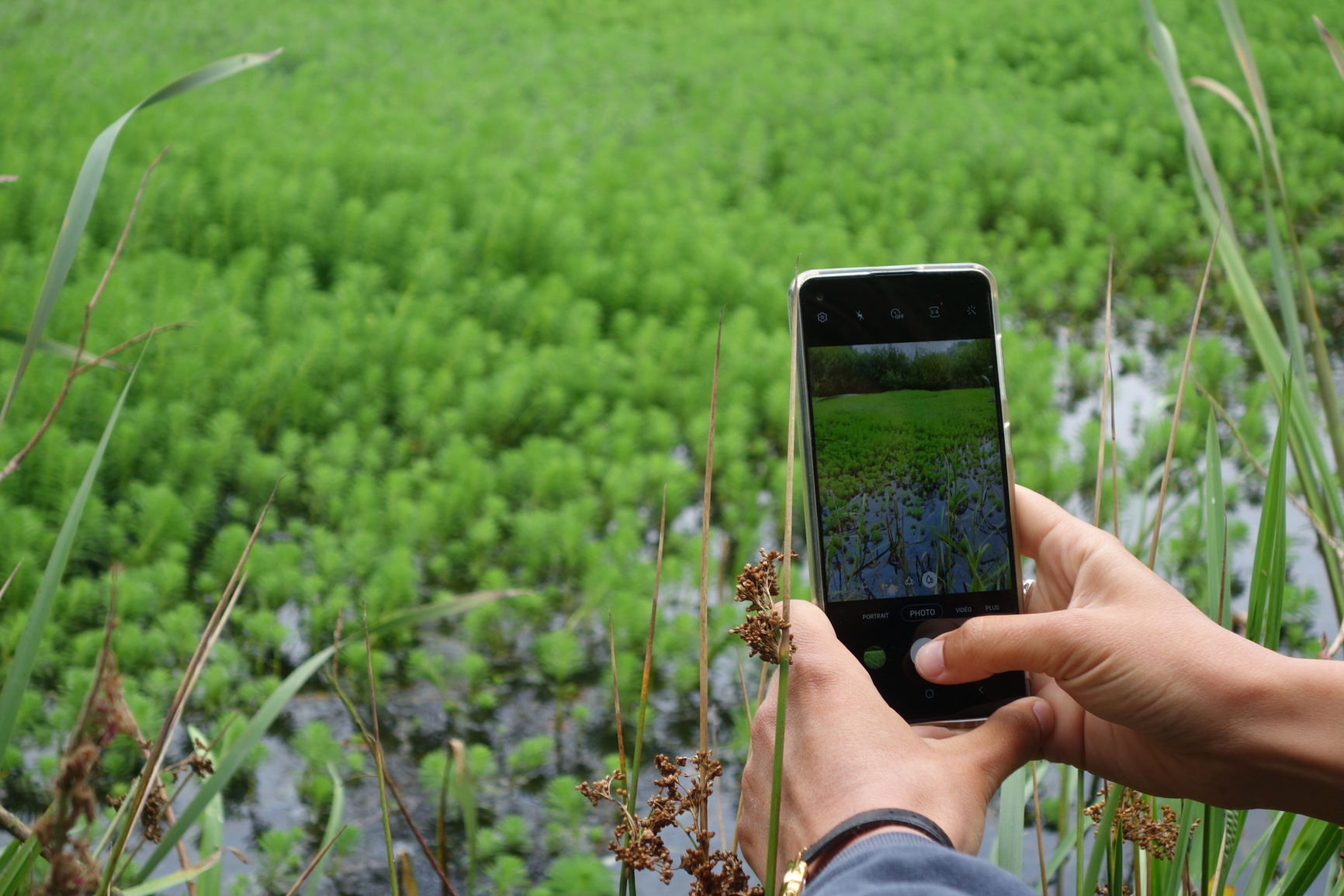 EEE_signaler_EBranquart