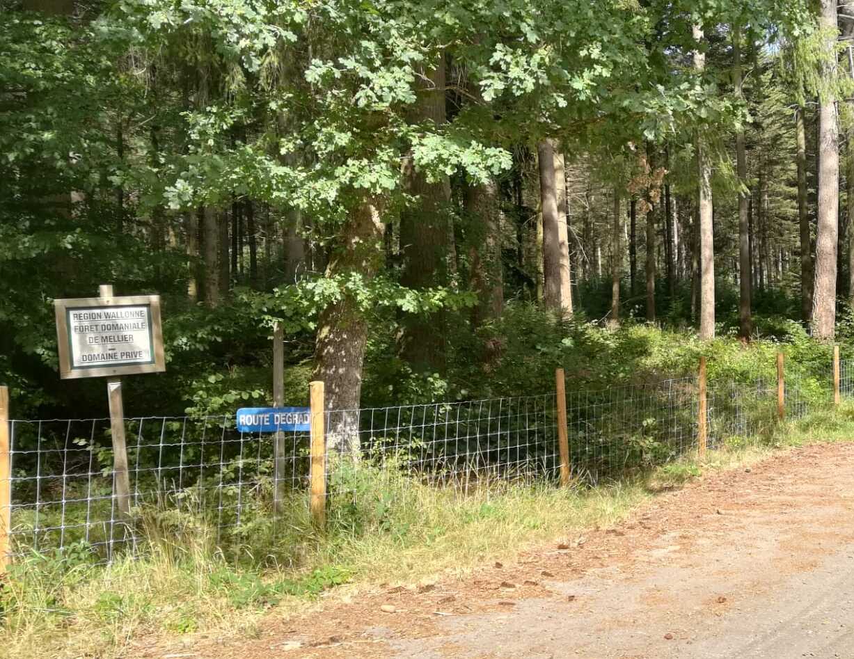 comprendre-la-dynamique-de-dispersion-et-les-facteurs-ecologiques-de-l-epidemie-de-ppa-en-belgique