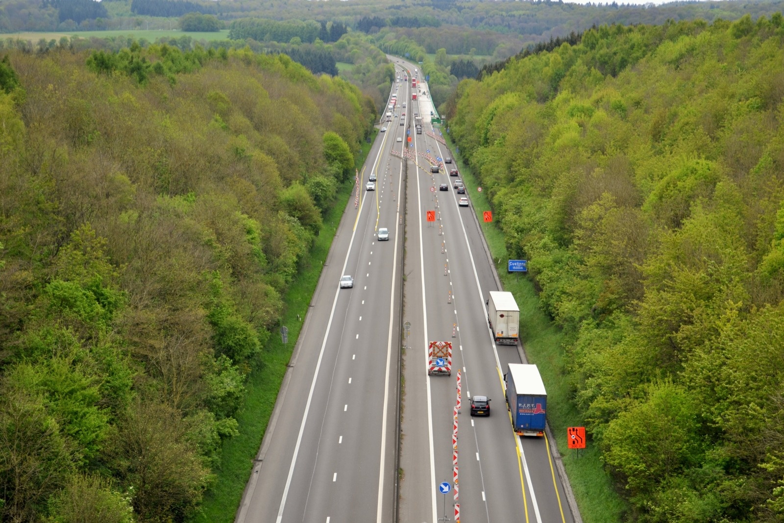 comparative-landscape-genetic-analyses-show-a-belgian-motorway-to-be-a-gene-flow-barrier-for-red-deer-cervus-elaphus-but-not-wild-boars-sus-scrofa