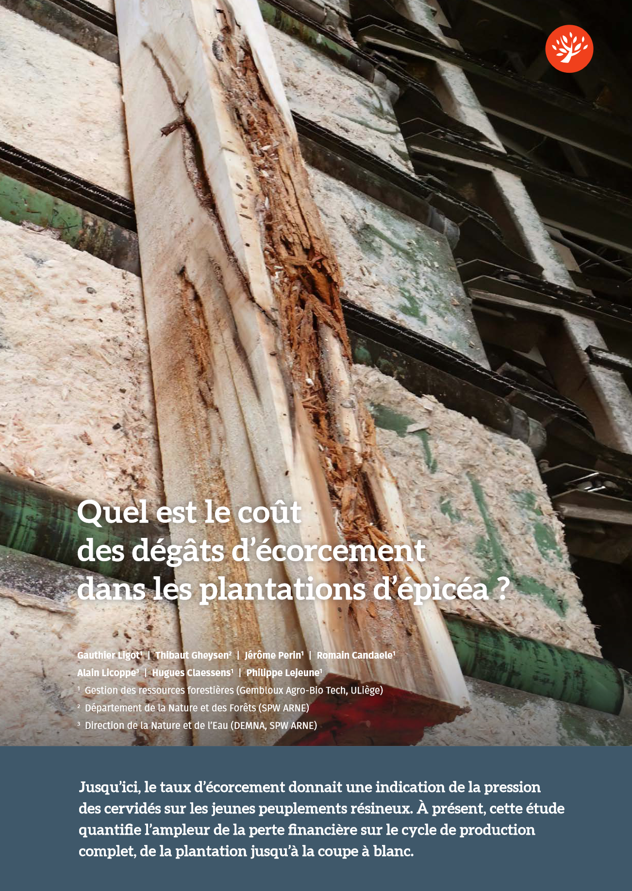 quel-est-le-cout-des-degats-d-ecorcement-dans-les-plantations-d-epicea