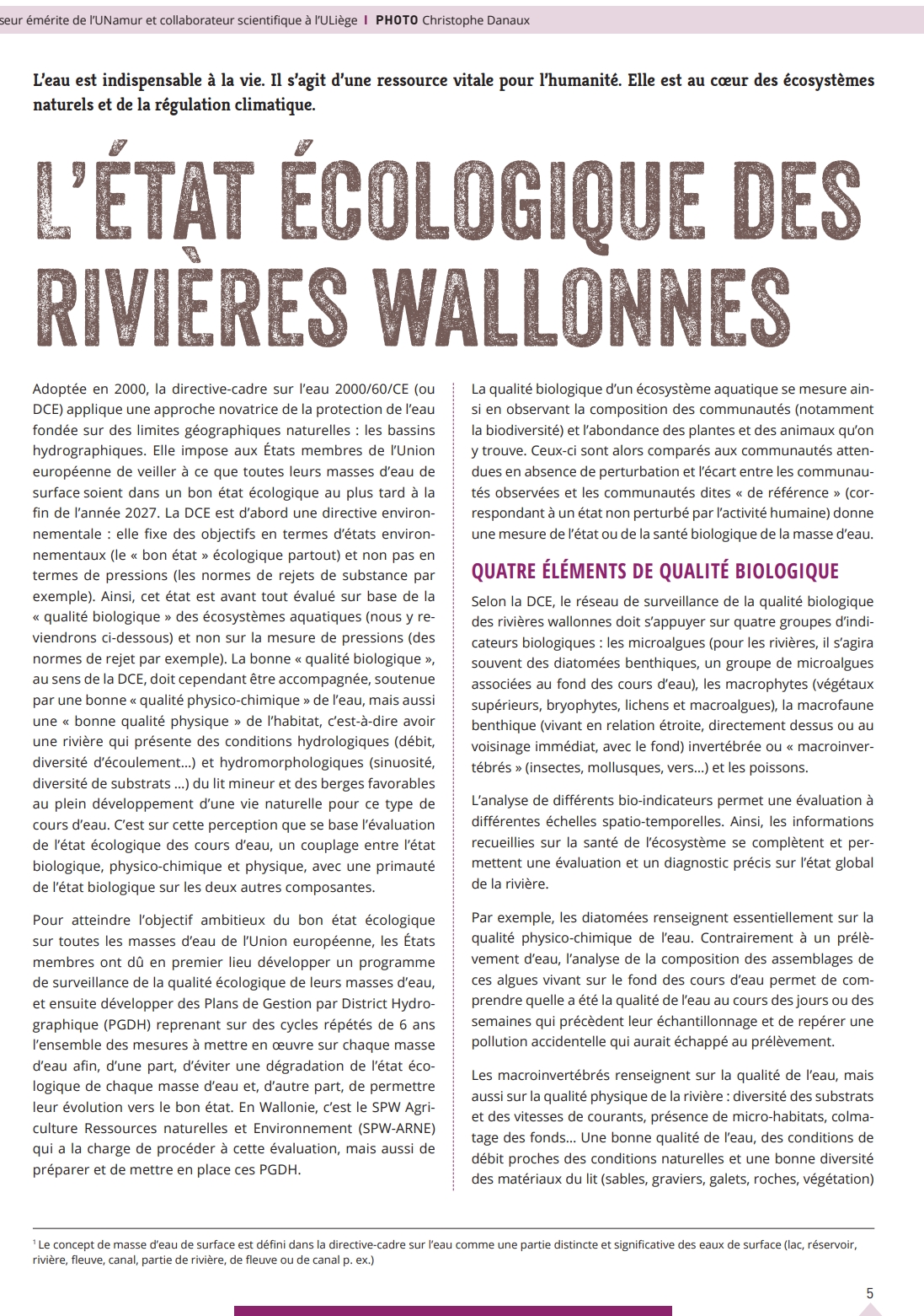 cg-publication-1
