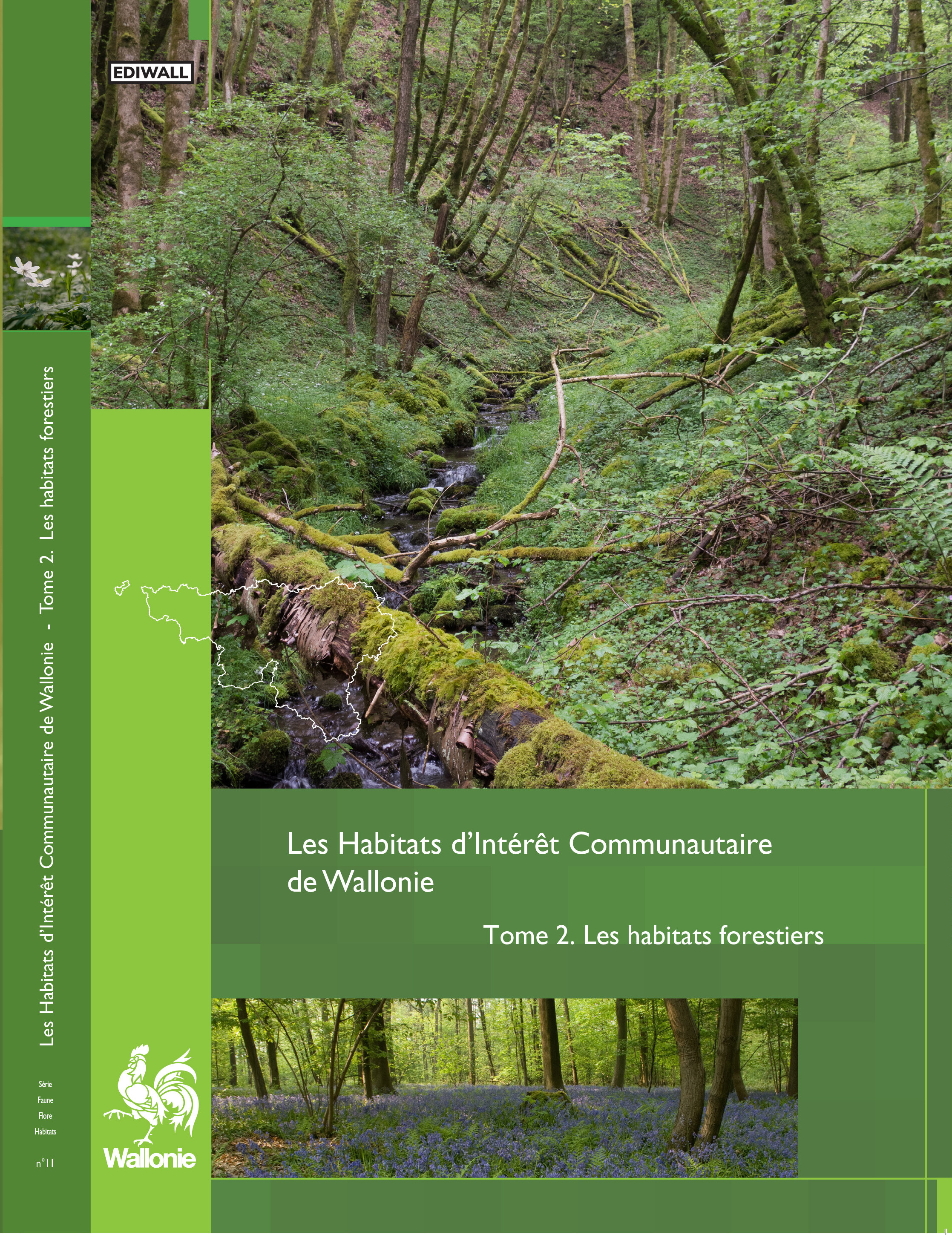 faune-flore-habitats-11-les-habitats-d-interet-communautaire-de-wallonie-tome-2-les-habitats-forestiers-2023