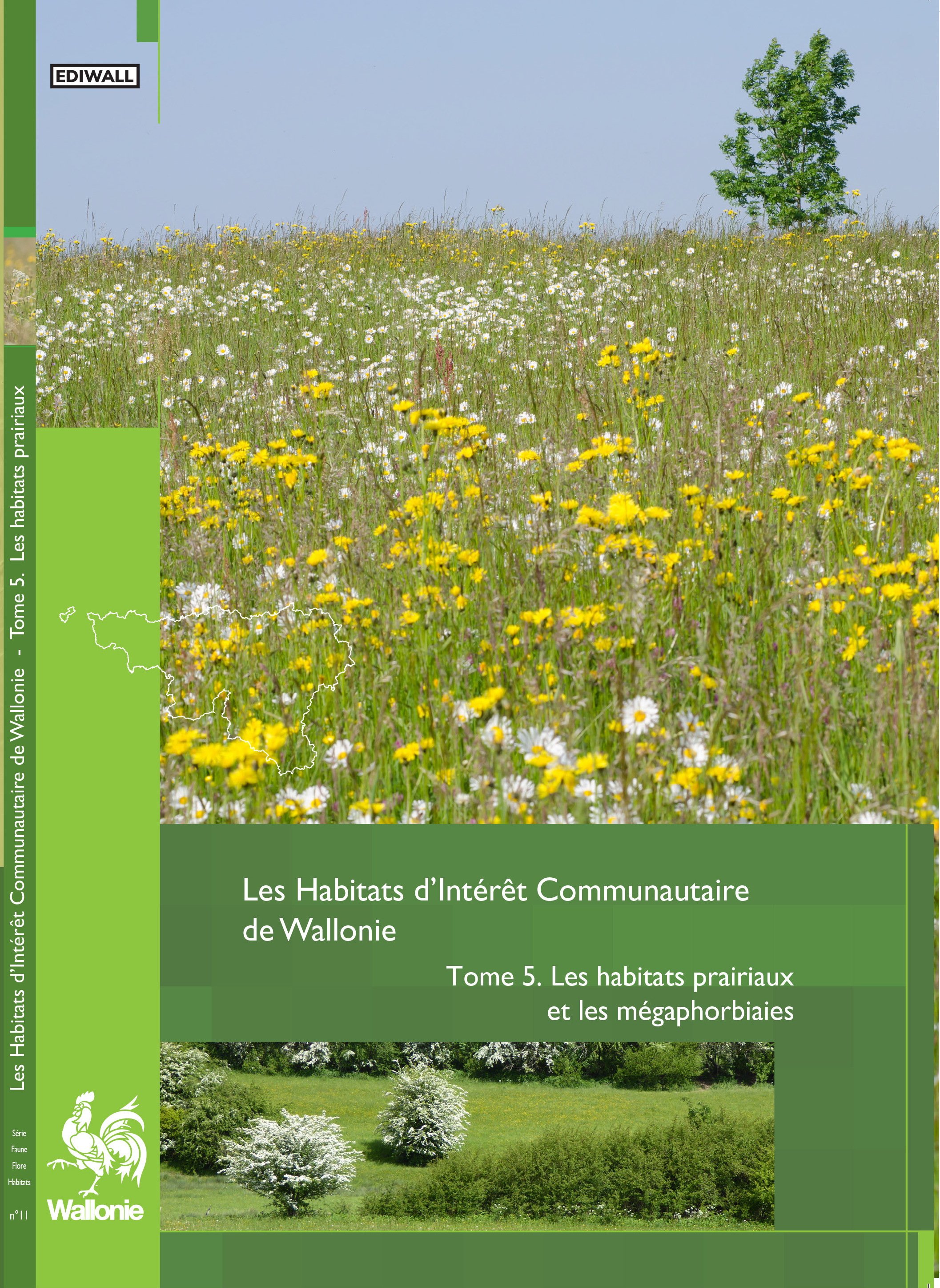 faune-flore-habitats-11-les-habitats-d-interet-communautaire-de-wallonie-tome-5-les-habitats-prairiaux-et-les-megaphorbiaies-2023