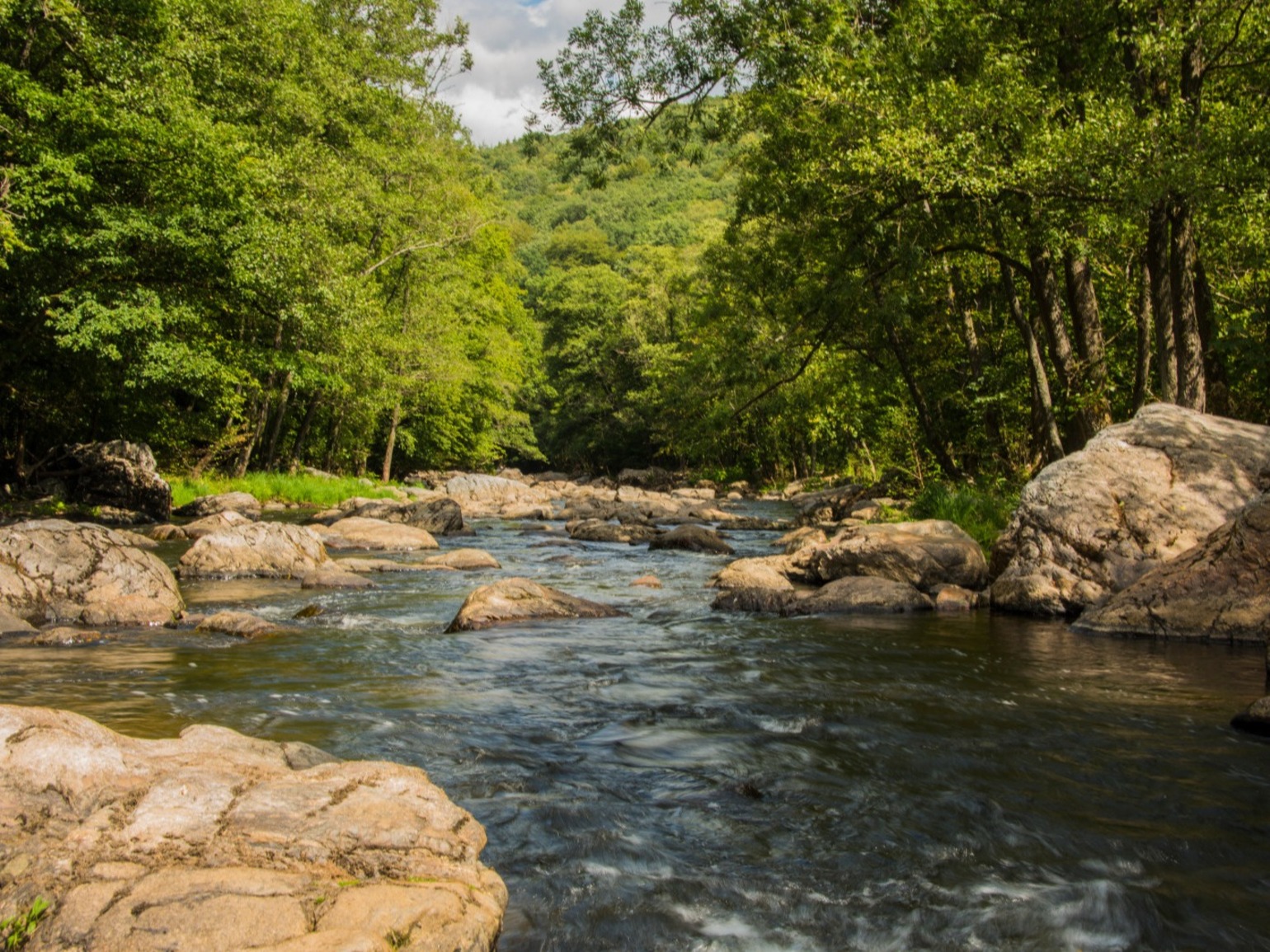 cropped-18433 (1).JPG