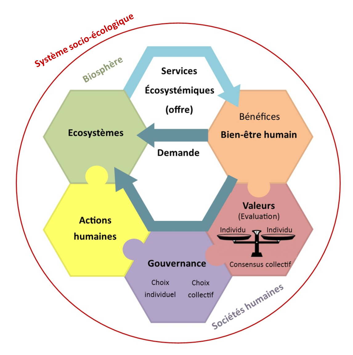 cadre_conceptuel_wales_services ES